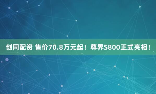 创同配资 售价70.8万元起！尊界S800正式亮相！