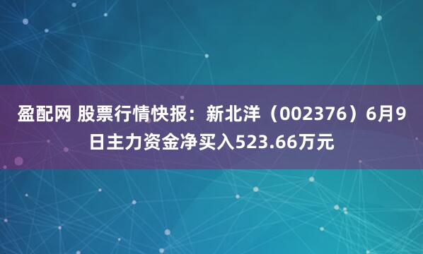 盈配网 股票行情快报：新北洋（002376）6月9日主力资金净买入523.66万元