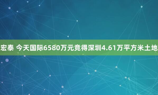 宏泰 今天国际6580万元竞得深圳4.61万平方米土地