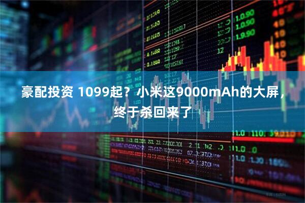 豪配投资 1099起？小米这9000mAh的大屏，终于杀回来了