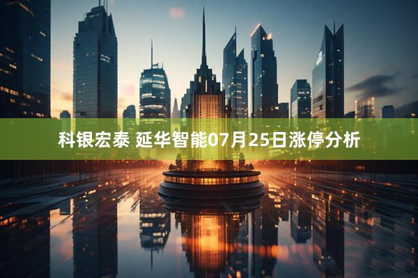 科银宏泰 延华智能07月25日涨停分析