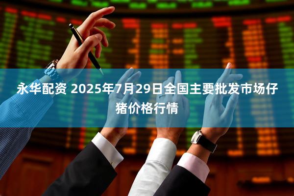 永华配资 2025年7月29日全国主要批发市场仔猪价格行情