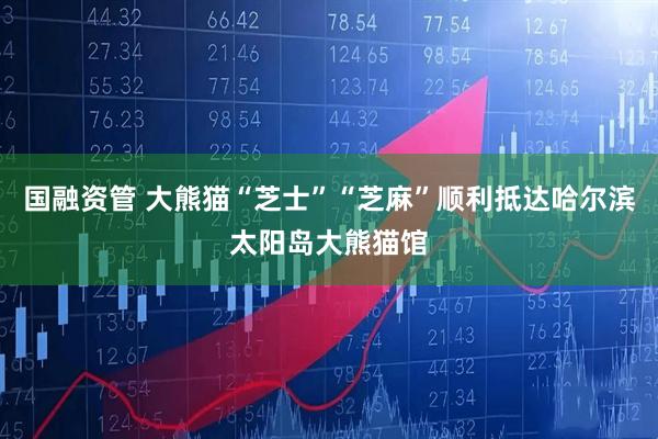 国融资管 大熊猫“芝士”“芝麻”顺利抵达哈尔滨太阳岛大熊猫馆