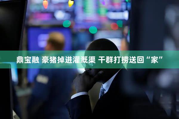 鼎宝融 豪猪掉进灌溉渠 干群打捞送回“家”