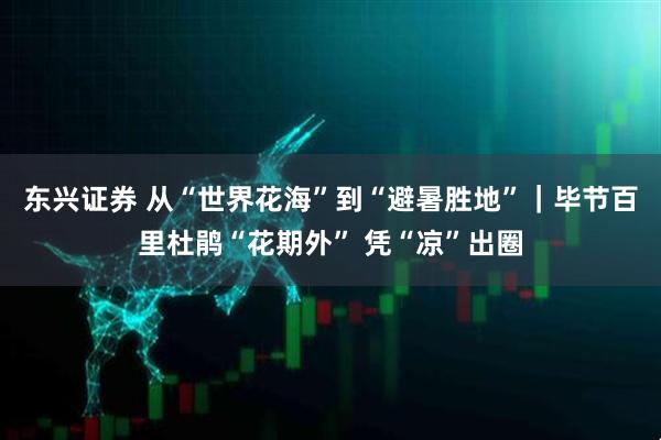 东兴证券 从“世界花海”到“避暑胜地”｜毕节百里杜鹃“花期外” 凭“凉”出圈