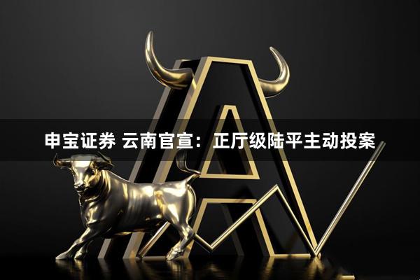 申宝证券 云南官宣：正厅级陆平主动投案
