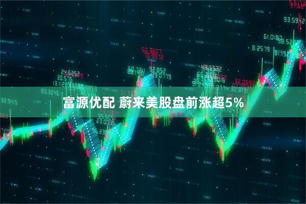 富源优配 蔚来美股盘前涨超5%