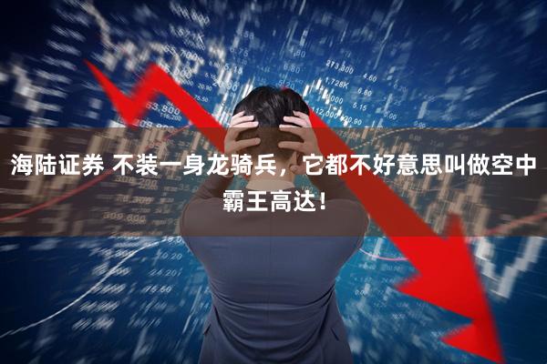 海陆证券 不装一身龙骑兵，它都不好意思叫做空中霸王高达！