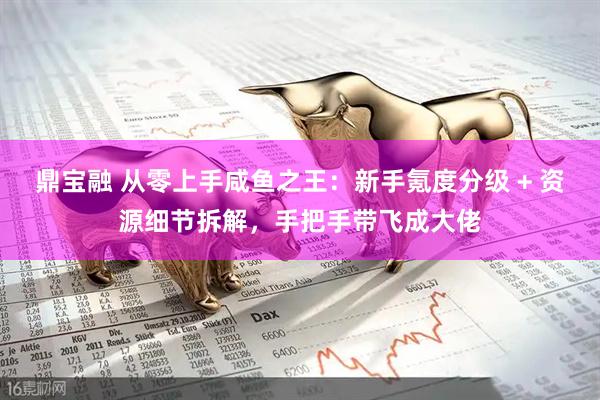 鼎宝融 从零上手咸鱼之王：新手氪度分级 + 资源细节拆解，手把手带飞成大佬