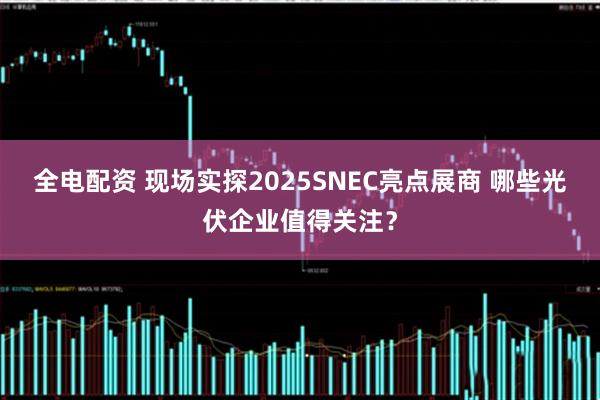 全电配资 现场实探2025SNEC亮点展商 哪些光伏企业值得关注?